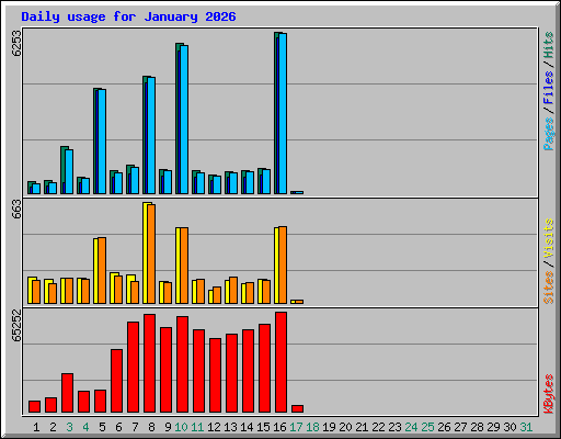 Daily usage for January 2026