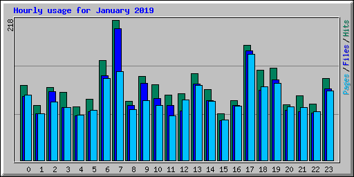 Hourly usage for January 2019