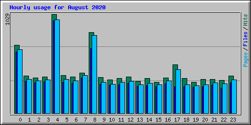 Hourly usage for August 2020