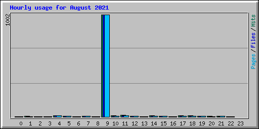 Hourly usage for August 2021