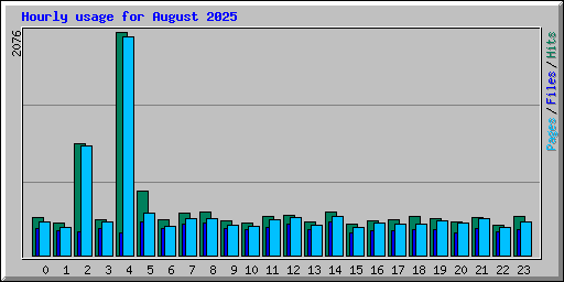 Hourly usage for August 2025