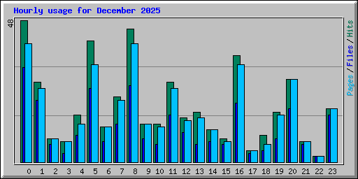Hourly usage for December 2025
