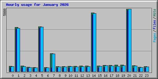 Hourly usage for January 2026